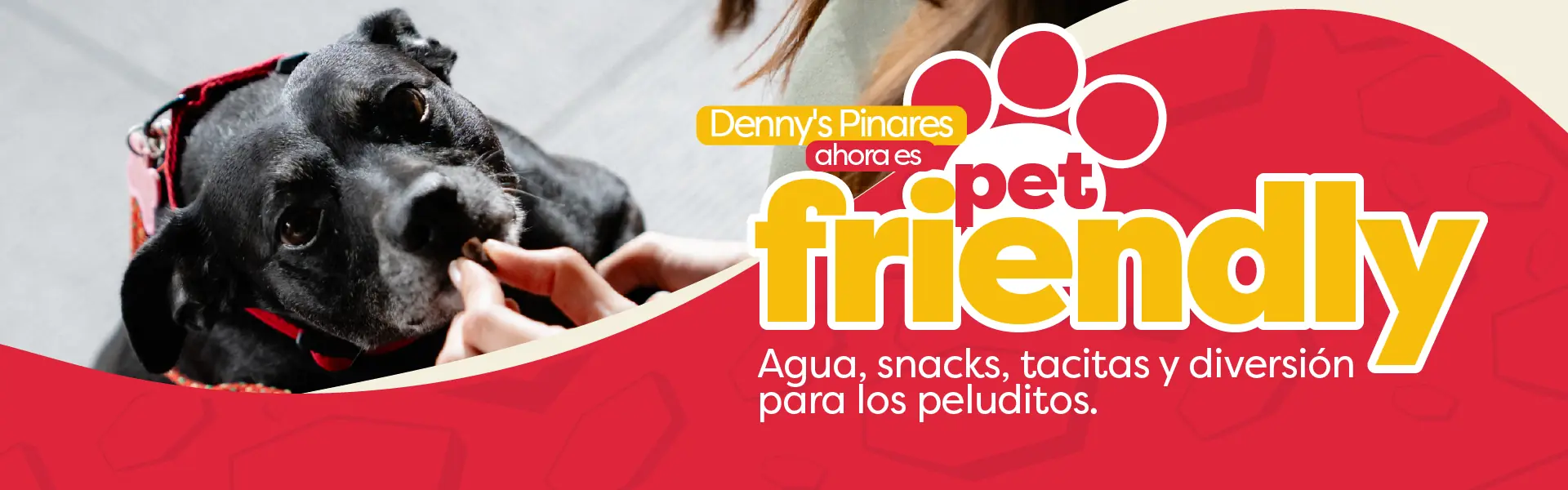 Pet friendly 1920x600
